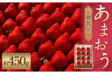 化粧箱入り 特別栽培 の 濃厚 完熟 あまおう 約450g 1パック 【2026年1月上旬～3月下旬まで発送予定】 いちご 苺 果物 フルーツ