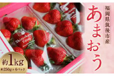 特別栽培 の 濃厚 完熟 あまおう 約1kg 約250g×4パック 【2026年1月上旬～3月下旬まで発送予定】 いちご 苺 果物 フルーツ