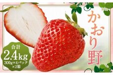 いちご 「かおり野」 プレミアム 約2.4kg ＜300g×4パック＞ 2箱 計8パック 【2025年12月下旬から2026年3月下旬まで発送予定】 苺 イチゴ 果物 果実 フルーツ 大粒 冷蔵 九州 福岡県 筑後市
