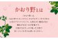 いちご「かおり野」プレミアム 約2.4kg＜300g×4パック＞2箱 計8パック