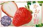 いちご「かおり野」プレミアム 約3.6kg＜300g×4パック＞3箱 計12パック 