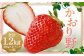 いちご「かおり野」プレミアム 約1.2kg＜300g×2パック＞2箱 計4パック