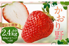 【2回定期便】いちご「かおり野」プレミアム 合計約2.4kg 約1.2kg（300g×4パック）×2回【2026年1月下旬から3月下旬発送予定】 苺 イチゴ ベリー 果物 フルーツ デザート おやつ お取り寄せ