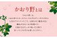 【2回定期便】いちご「かおり野」プレミアム 合計約2.4kg 約1.2kg（300g×4パック）×2回