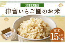 【3回定期便】 津留いちご園のお米 玄米 農薬・化学肥料不使用（栽培期間中） 約5kg×3回 合計約15kg【2025年11月上旬発送開始】 ご飯 定期便 福岡県産 国産