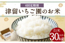 【6回定期便】津留いちご園のお米 白米 農薬・化学肥料不使用（栽培期間中） 約5kg×6回 合計約30kg【2025年11月上旬発送開始】 ご飯 定期便 福岡県産 国産