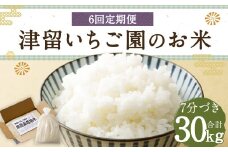 【6回定期便】津留いちご園のお米 7分づき  農薬・化学肥料不使用（栽培期間中） 約5kg×6回 合計約30kg【2025年11月上旬発送開始】 ご飯 定期便 福岡県産 国産