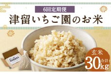 【6回定期便】津留いちご園のお米 玄米 農薬・化学肥料不使用（栽培期間中） 約5kg×6回 合計約30kg【2025年11月上旬発送開始】 ご飯 定期便 福岡県産 国産