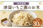【6回定期便】津留いちご園のお米 玄米 農薬・化学肥料不使用（栽培期間中） 約5kg×6回