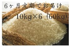 定期便 福岡県大川市産ヒノヒカリ（2024年秋収穫のお米）10kg×6回 定期コース（全6回のお届け） | 米 お米 こめ 白米 精米 60キロ 食品 ライス 令和6年 美味しい おいしい ご飯 ごはん 人気 おすすめ 送料無料 ふるさと納税 定期配送