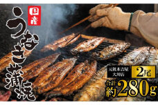 元祖 本吉屋 大川店 老舗のうなぎ蒲焼き 2尾