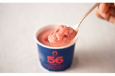 武下さんちのあまおうジェラート56％ ６カップギフト 濃厚なのに後味さっぱり！ ご家族様3，4名様向け【あまおう 食品 あまおう フルーツ あまおう 果物 苺くだもの いちご 食品 イチゴ 人気 あまおう ジェラート おすすめ 送料無料 福岡県 大川市　AA027】