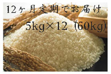 定期便 福岡県大川市産ヒノヒカリ（2024年秋収穫のお米）5kg×12回 定期コース（全12回のお届け） | 米 お米 こめ 白米 精米 60キロ 食品 ライス 令和6年 美味しい おいしい ご飯 ごはん 人気 おすすめ 送料無料 ふるさと納税 定期配送