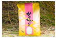 2024年秋収穫分 福岡県大川市産ヒノヒカリ 5kg【ギフト包装】   | 米 お米 こめ 白米 精米 5キロ 食品 ライス 令和6年 美味しい おいしい ご飯 ごはん 人気 おすすめ ギフト 贈り物 送料無料 ふるさと納税