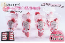 形も味もそのまま楽しめる！完熟あまおう【フリーズドライギフトセット】 (12g×8袋)【あまおう 食品 あまおう フルーツ あまおう 果物 苺くだもの いちご 食品 イチゴ 人気 あまおう おすすめ 送料無料 福岡県 大川市 AA044】