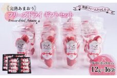 形も味もそのまま楽しめる！完熟あまおう【フリーズドライギフトセット】 (12g×16袋)【あまおう 食品 あまおう フルーツ あまおう 果物 苺くだもの いちご 食品 イチゴ 人気 あまおう おすすめ 送料無料 福岡県 大川市 AA045】