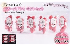 形も味もそのまま楽しめる！完熟あまおう【フリーズドライギフトセット】 (20g×6袋)【あまおう 食品 あまおう フルーツ あまおう 果物 苺くだもの いちご 食品 イチゴ 人気 あまおう おすすめ 送料無料 福岡県 大川市 AA047】