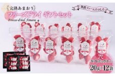 形も味もそのまま楽しめる！完熟あまおう【フリーズドライギフトセット】 (20g×12袋)【あまおう 食品 あまおう フルーツ あまおう 果物 苺くだもの いちご 食品 イチゴ 人気 あまおう おすすめ 送料無料 福岡県 大川市 AA048】