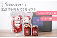 常温で手持ちできるギフト (フリーズドライ＆ジャム 2つ入りセット)【あまおう 食品 あまおう フルーツ あまおう 果物 苺くだもの いちご 食品 イチゴ 人気 あまおう おすすめ 送料無料 福岡県 大川市 AA049】
