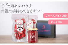 常温で手持ちできるギフト （フリーズドライ×2&ジャム×1セット）【あまおう 食品 あまおう フルーツ あまおう 果物 苺くだもの いちご 食品 イチゴ 人気 あまおう おすすめ 送料無料 福岡県 大川市 AA050】