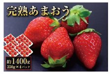 完熟 あまおう イチゴ 350g×4パック(約1400g)【出荷予定：12月中旬～2025年2月下旬】