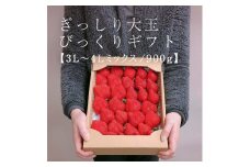 【今期発送の受付は2025年4月27日(日)まで】★身近な人間関係のお祝いに★「完熟あまおう」3L～4Lミックス詰め合わせ 900g入り【あまおう 完熟 いちご 苺 イチゴ くだもの 果物 フルーツ 大粒 900g ご当地 ブランド ギフト 人気 おすすめ 送料無料 福岡県 大川市 AA051】