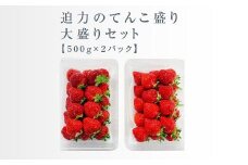【今期発送の受付は2025年4月27日(日)まで】武下さんちのあまおう 中玉盛り合わせ1000g（500g×2パック）【あまおう 食品 あまおう フルーツ あまおう 果物 苺くだもの いちご 食品 イチゴ 人気 あまおう おすすめ 送料無料 福岡県 大川市 AA058】