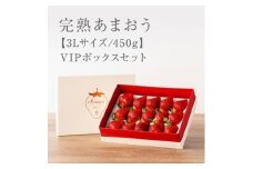 【今期発送の受付は2025年4月27日(日)まで】武下さんちの「完熟あまおう」 3Lサイズ 450g  白いVIPボックスに入れて！【あまおう 完熟 いちご 苺 イチゴ くだもの 果物 フルーツ 大粒 450g ご当地 ブランド ギフト 人気 おすすめ 送料無料 福岡県 大川市 AA068】