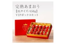 【今期発送の受付は2025年4月27日(日)まで】武下さんちの「完熟あまおう」 3Lサイズ 450g  赤いVIPボックスに入れて！【あまおう 完熟 いちご 苺 イチゴ くだもの 果物 フルーツ 大粒 450g ご当地 ブランド ギフト 人気 おすすめ 送料無料 福岡県 大川市 AA069】