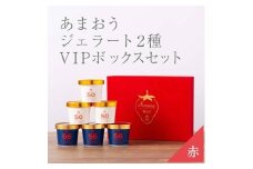 武下さんちの完熟あまおう2種のジェラート ６カップセット 赤いVIPボックスに入れて！【あまおう 食品 あまおう フルーツ あまおう 果物 苺くだもの いちご 食品 イチゴ 人気 あまおう ジェラート おすすめ 送料無料 福岡県 大川市 AA074】