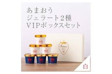 武下さんちの完熟あまおう2種のジェラート ６カップセット 白いVIPボックスに入れて！【あまおう 食品 あまおう フルーツ あまおう 果物 苺くだもの いちご 食品 イチゴ 人気 あまおう ジェラート おすすめ 送料無料 福岡県 大川市 AA075】