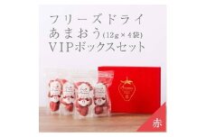 形も味も生のまま！武下さんちの完熟あまおうフリーズドライ 12g×4袋セット 赤いVIPボックスに入れて！【あまおう 食品 あまおう フルーツ あまおう 果物 苺くだもの いちご 食品 イチゴ 人気 あまおう おすすめ 送料無料 福岡県 大川市 AA078】