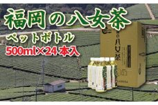 【八女産茶葉100％使用】福岡の八女茶（煎茶）500mlペットボトル24本入り