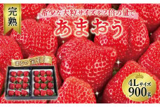 【今期発送の受付は2025年4月27日(日)まで】まるで宝石！希少な大粒サイズを2倍の量で！「完熟あまおう」4Lサイズ900g入り【あまおう 食品 あまおう フルーツ あまおう 果物 苺くだもの いちご 食品 イチゴ 人気 あまおう おすすめ 送料無料 福岡県 大川市 AA060】