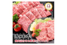 福岡県産 黒毛和牛A4ランク以上の博多和牛！ 焼肉詰め合わせ450g＆特選スライス300gセット