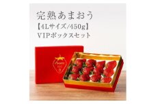 【今期発送の受付は2025年4月27日(日)まで】★希少4Lサイズ 450g ★赤のVIPボックスに入った宝石のような「完熟あまおう」！【あまおう 食品 あまおう フルーツ あまおう 果物 苺くだもの いちご 食品 イチゴ 人気 あまおう おすすめ 送料無料 福岡県 大川市 AA081】