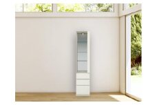 ヴァイス 幅40cm コレクションボード コレクション棚 右開き 壁面収納 リビング収納 ガラス棚 高級 大川家具 LEDライト【開梱設置】