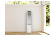 ヴァイス 幅40cm コレクションボード コレクション棚 左開き 壁面収納 リビング収納 ガラス棚 高級 大川家具 LEDライト【開梱設置】