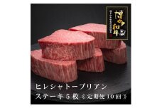 (全10回定期便)【A5～4等級】博多和牛ヒレシャトーブリアンステーキ(ダイヤモンドカット)