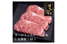 (全5回定期便)【A5～4等級】博多和牛サーロインステーキ 200g×3枚