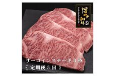 (全5定期便)【A5～4等級】博多和牛サーロインステーキ 200g×4枚