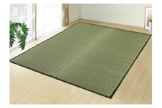 国産い草 掛川織ラグ 伊吹 グリーン 191×250