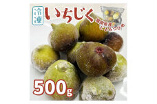 ※受付停止※福岡県産「博多とよみつひめ」冷凍いちじく！500g