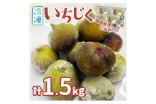 ※受付停止※福岡県産「博多とよみつひめ」冷凍いちじく！合計1.5kg