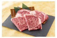 A5／A4 博多和牛サーロインステーキ 3～4人前 約500g