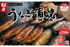 【全6回定期便】元祖 本吉屋 大川店 老舗のうなぎ蒲焼き  2尾 × 3回 (合計12尾)