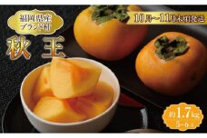 【福岡県産】秋王 約1.7kg