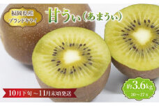 【福岡県産】キウイ『甘うぃ』 約3.6kg