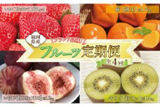 福岡フルーツ定期便A (あまおう・とよみつひめ・甘うぃ・秋王)【全4回】【あまおう 食品 あまおう フルーツ とよみつひめ  甘うぃ 秋王 果物 苺くだもの いちご 食品 イチゴ 人気 おすすめ 送料無料 福岡県 大川市 ZZ012】