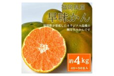【2025年9月下旬より順次発送】福岡県産 早味かん 約4kg(40玉～50玉入) M・Sサイズ うまうまもぐもぐ